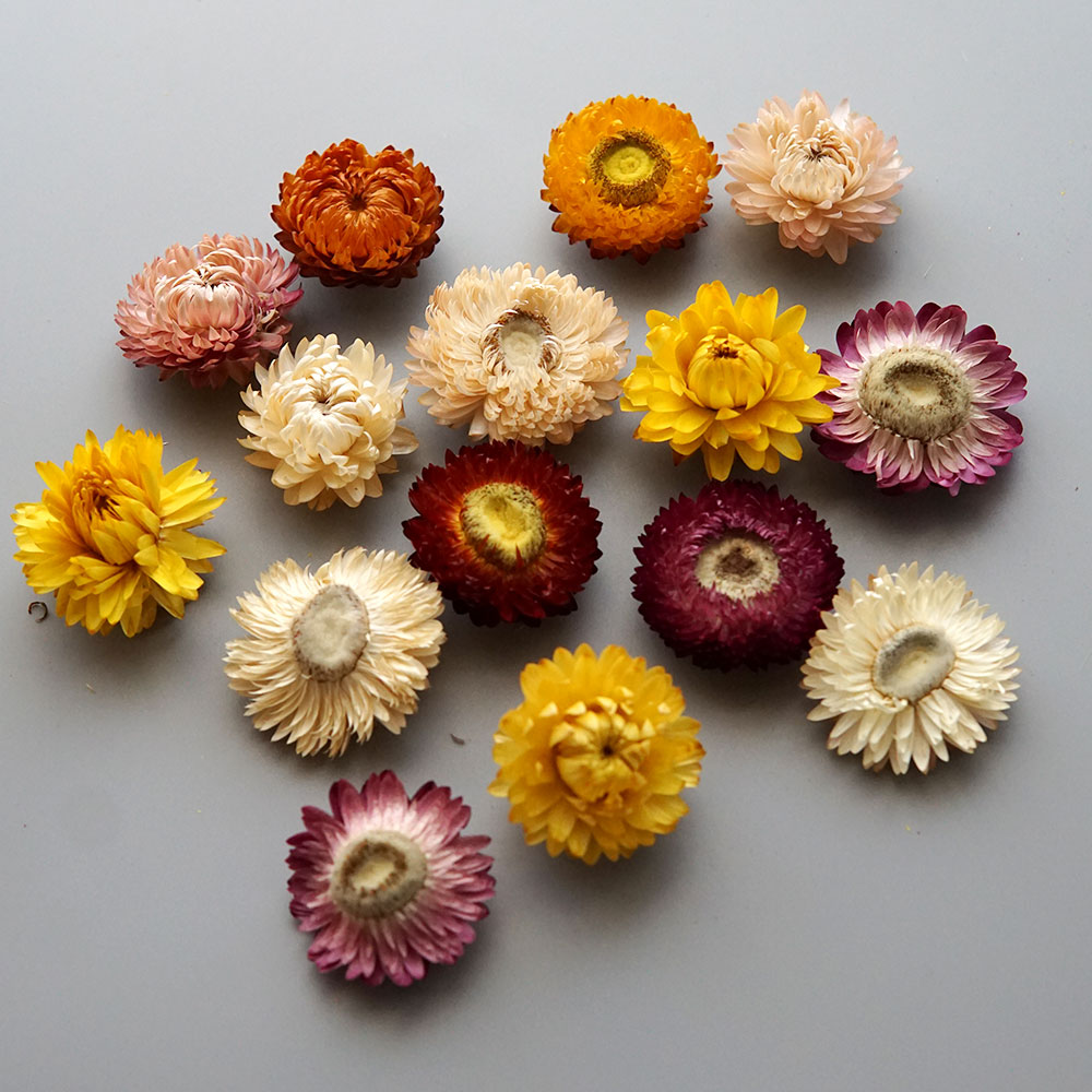 Natural Dried Colorful Chrysan - Baby Products 评论和价格